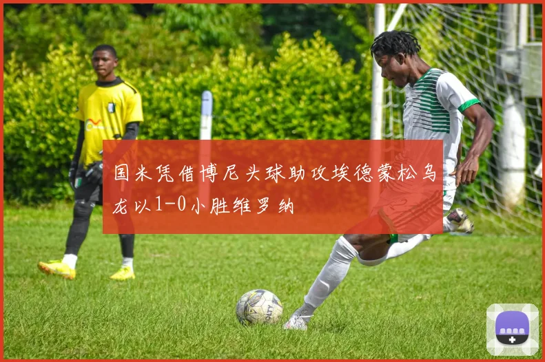 国米凭借博尼头球助攻埃德蒙松乌龙以1-0小胜维罗纳